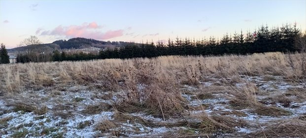 działka na sprzedaż 2600m2 działka Czadrów