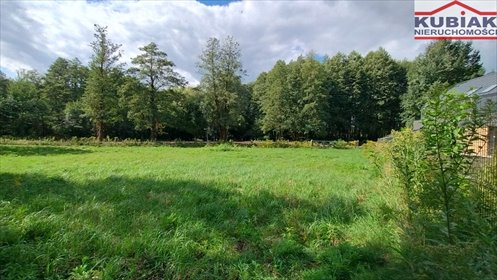 Polecam urokliwą działkę 1954 m² w Suchym Lesie działka Suchy Las