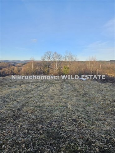 działka na sprzedaż 2900m2 działka Lesko, Jankowce