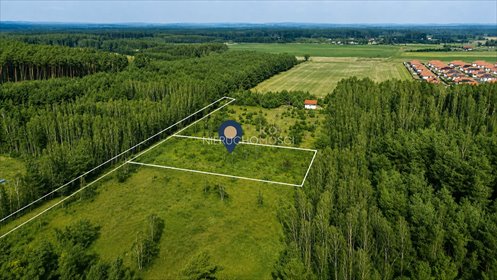 Unikatowa działka 3371 m² w Ostrowinie z mediami i lasem działka Ostrowina