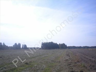 działka na sprzedaż 15000m2 działka Piaseczno