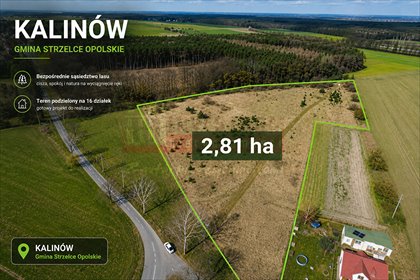 Działka inwestycyjna 2,81 ha z 16 działkami w Kalinowie działka Kalinów