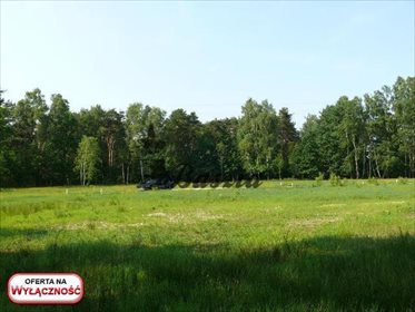 działka na sprzedaż 2189m2 działka Rysie