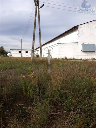 Magazyn na sprzedaż Recz 4 000m2 Foto 7