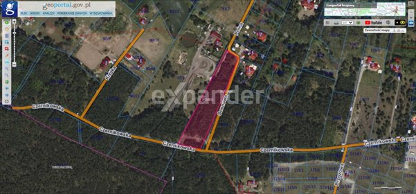 działka na sprzedaż 10000m2 działka Sąsieczno