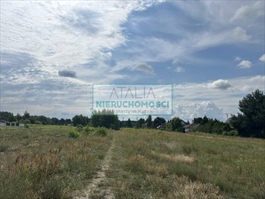 Działka 10 852 m² z możliwością podziału i zabudowy jednorodzinnej działka Nadarzyn