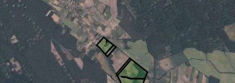 działka na sprzedaż 450300m2 działka Mąkoszyce, ul. Kościelna