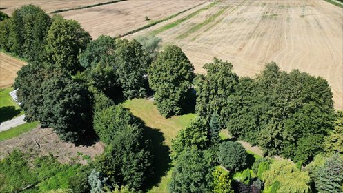 Działka siedliskowa 3100 m² w Cedrach Małych, blisko Gdańska działka Cedry Małe, Żuławska