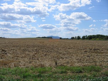 działka na sprzedaż 4800m2 działka Kąty Wrocławskie, Gliniana