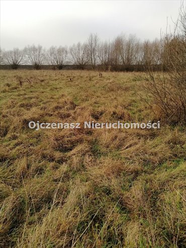 Działka 3000 m² z mediami, dojazd utwardzony działka Olimpin