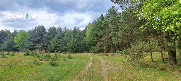 działka na sprzedaż 7125m2 działka Ogorzelnik