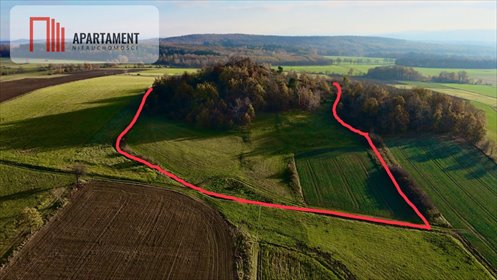 działka na sprzedaż 40000m2 działka Pomocne