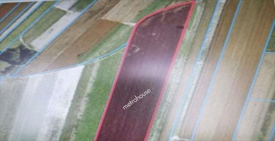 Działka rolna na sprzedaż Nowa Wola 35 800m2 Foto 3