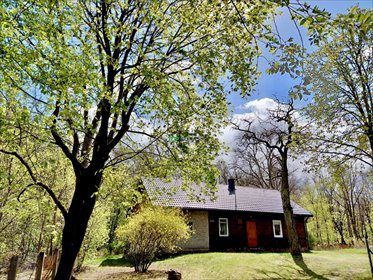 Na sprzedaż działka 2180 m² z lasem i domem w Józefowie działka Józefów