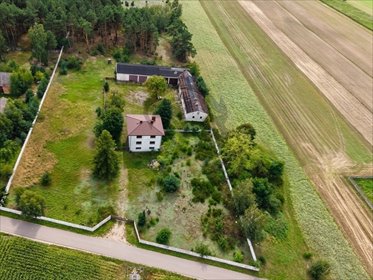 Do sprzedania przestronne ranczo 282 m² z garażem i szybkim internetem dom Włodzimierz