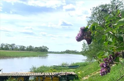 Działki budowlane z widokiem na Bug - spokojna okolica działka Jackowo Dolne