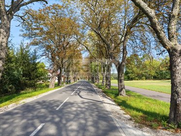 Sprzedam działkę 1643 m² w Zarębach z lasem i wodą działka Zaręby