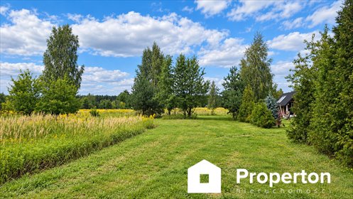 Działka 3095 m² w Borzęcinie Dużym - zapraszam działka Borzęcin Duży, Relaksowa