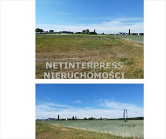 działka na sprzedaż 93998m2 działka Rzeczyce