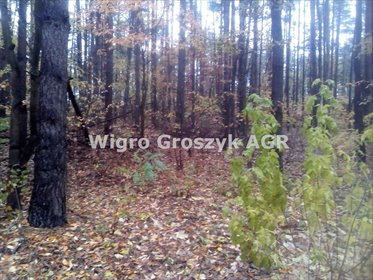 działka na sprzedaż 1767m2 działka Izabelin B, Izabelin