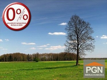 Działka 4 800 m² pod zabudowę jednorodzinną w Połchowie. działka Połchowo
