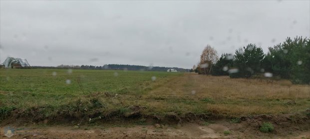 działka na sprzedaż 60000m2 działka Przyborowice Górne