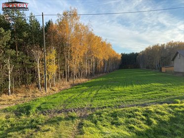 działka na sprzedaż 11400m2 działka Barłogi, BARŁOGI