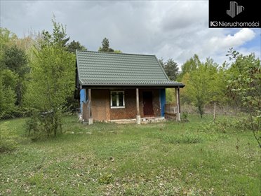 Urokliwy dom 65 m² z lasem, ogrzewanie kominkowe dom Budy Wielgoleskie
