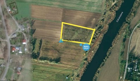 Działka 1 ha nad Szkarpawą, cisza, natura, media w drodze działka Przemysław