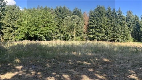 Działka 3000 m² z dostępem do mediów i zjazdem w Tanowie działka Tanowo