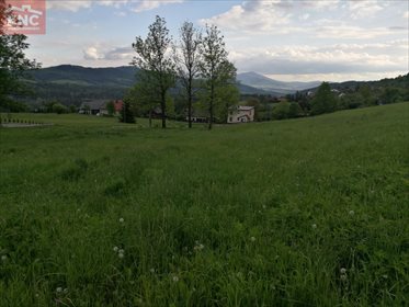 Działka budowlana na sprzedaż Hucisko 2 300m2 Foto 1