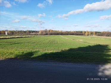 działka na sprzedaż 4760m2 działka Nowostawy Dolne