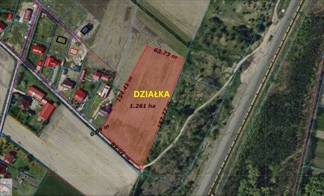 działka na sprzedaż 12600m2 działka Nowy Gołębiewek
