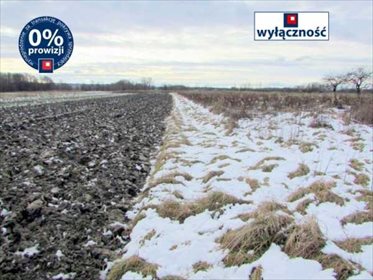 działka na sprzedaż 11500m2 działka Łąka, Łąka, Łąka