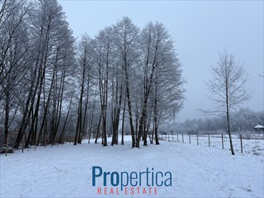 działka na sprzedaż 2500m2 działka Nowa Wieś, Wandy