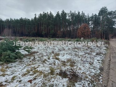 Polecam działkę 5665 m² z lasem w Drzewcach, dostęp do mediów działka Drzewce
