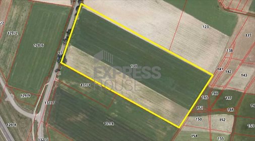 Działka budowlana na sprzedaż Bogucin 26 200m2 Foto 4