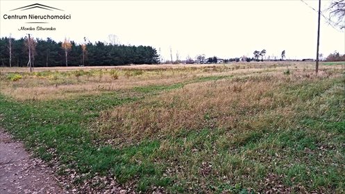 Działka rolna na sprzedaż Kokocko 16 500m2 Foto 4