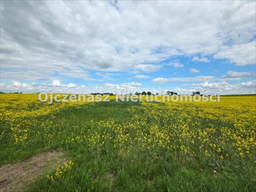 Sprzedam działkę 7 920 m² z warunkami zabudowy w Gliszcz działka Gliszcz