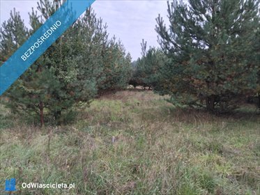 Działka 1113 m² w Krzyżówce (blisko lasu i Warszawy) działka Krzyżówka, Wiejska