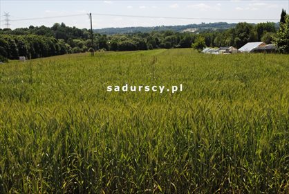 Działka budowlana na sprzedaż Wielkie Drogi 8 900m2 Foto 2