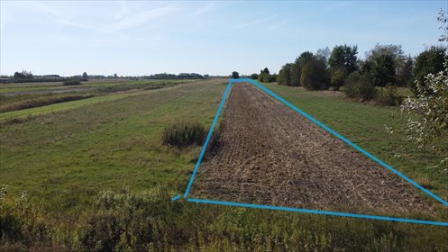 Działka 5481 m² z mediami, zabudowa, spokojna okolica działka Sielce