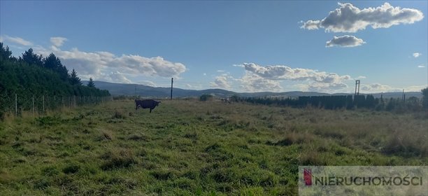 działka na sprzedaż 2530m2 działka Mościsko