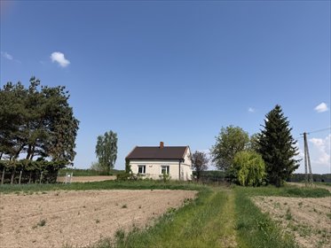 Działka z domem i możliwością zabudowy w Zawadach działka Zawady