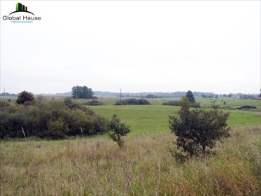 Działka rolna na sprzedaż Królowa Wola 28 400m2 Foto 5