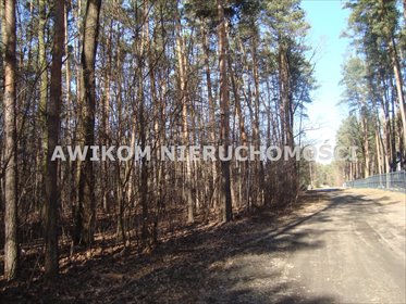 Działka 3800m2 w Książenicach – spokój i media w drodze działka Książenice