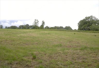 Działka budowlana na sprzedaż Niechobrz 7 400m2 Foto 1