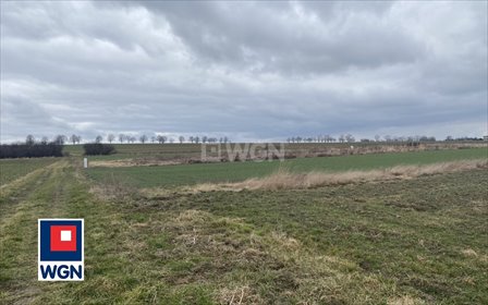 działka na sprzedaż 1414m2 działka Kamionna, Kamionna