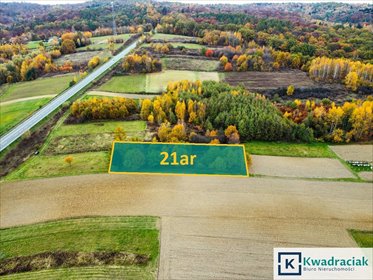 działka na sprzedaż 2100m2 działka Warzyce