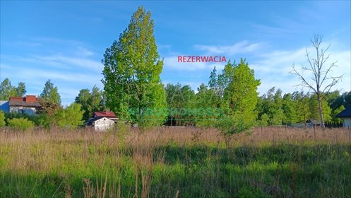 działka na sprzedaż 1200m2 działka Jaktorów-Kolonia